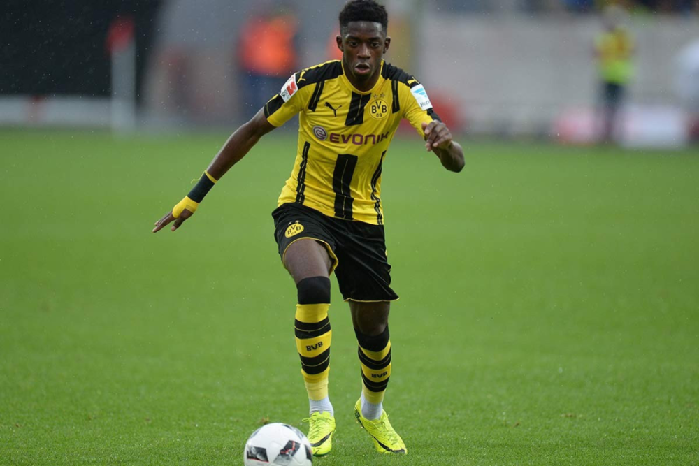 支持一键追 支持一键追